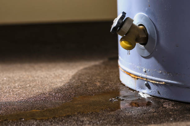 Best Sewage cleanup and water damage restoration  in Ahtanum, WA