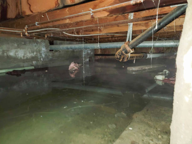 Best 24-hour water damage restoration  in Ahtanum, WA