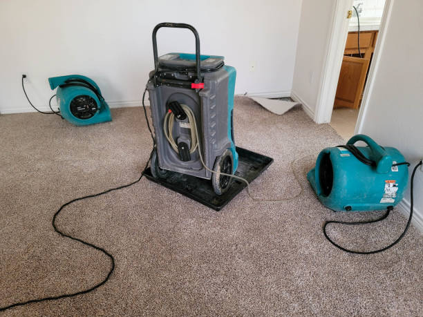 Best Professional water damage repair  in Ahtanum, WA