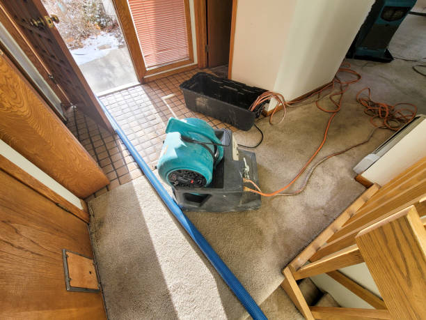 Best Professional water damage repair  in Ahtanum, WA