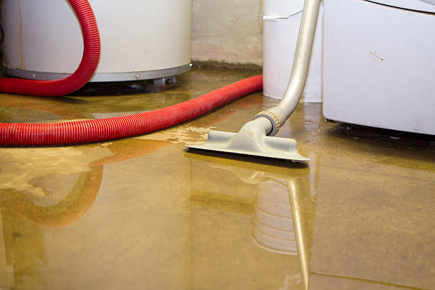 Water damage restoration insurance claims in WA