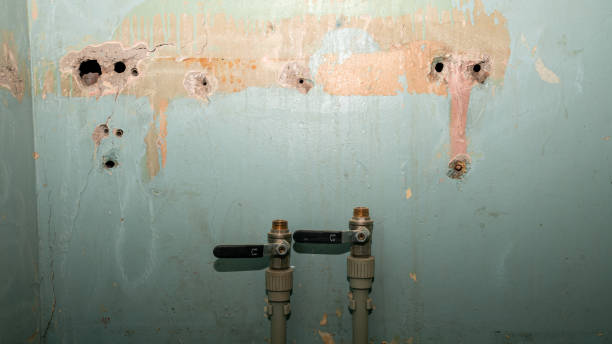 Best Basement water damage restoration  in Ahtanum, WA